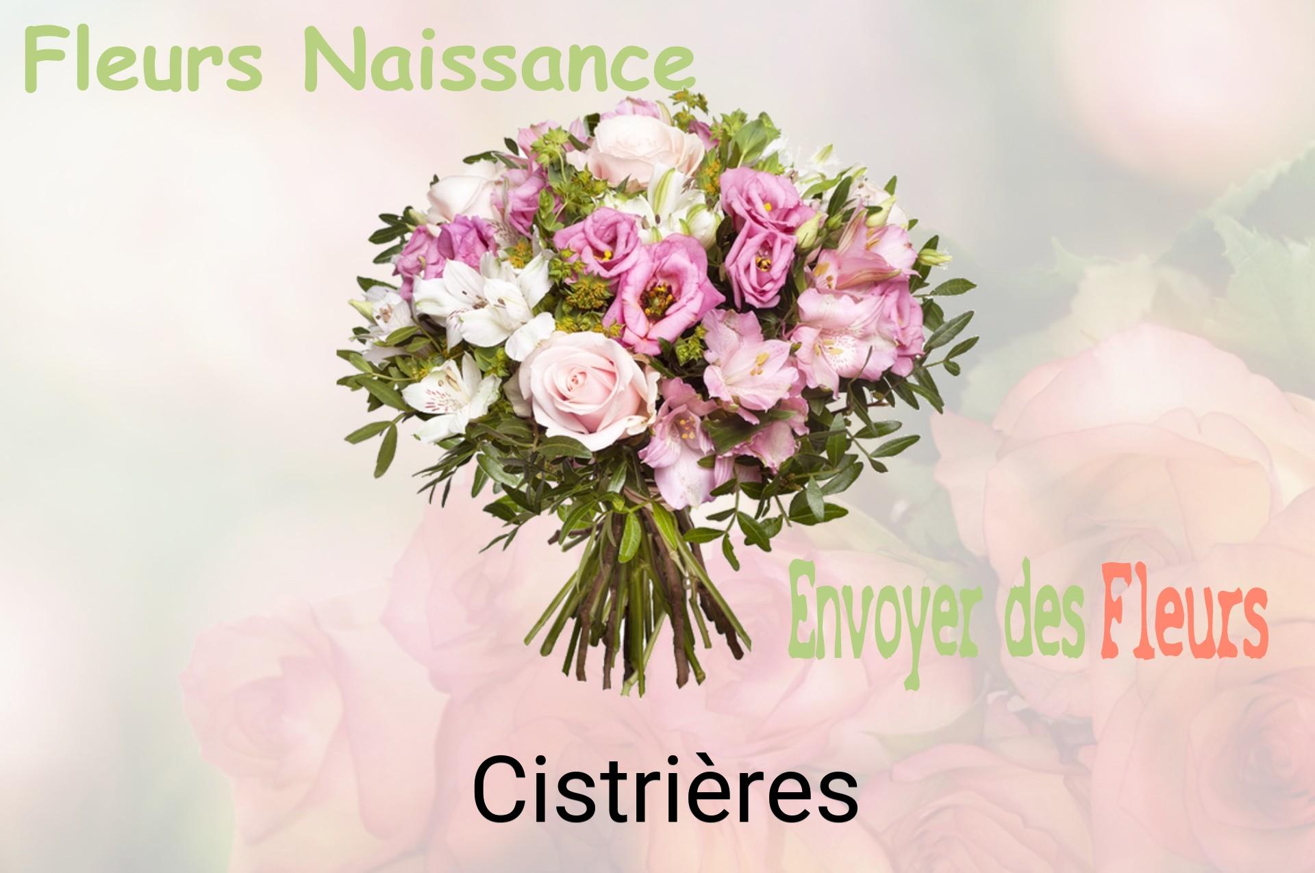 Bouquet de fleurs de naissance livré à Cistrières